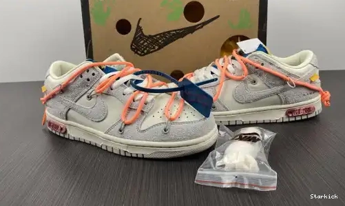 Nike Low 19 DJ0950-119 Dunk Lot O-W 0623